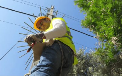Power Up Your Knowledge: Electrical Tips and Tricks for Homeowners